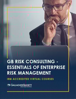 EERM Visual